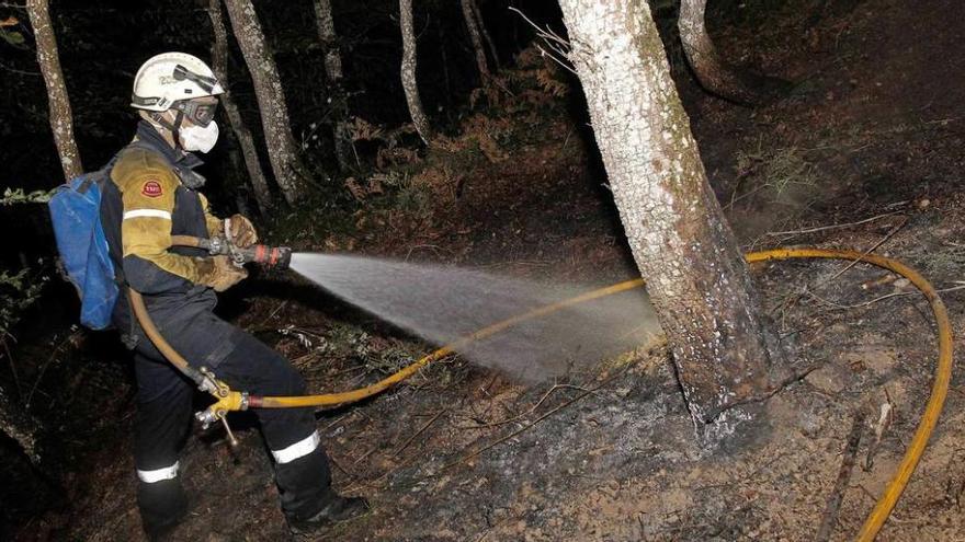 El fuego ataca una zona de hayas, castaños y robles en Navarra