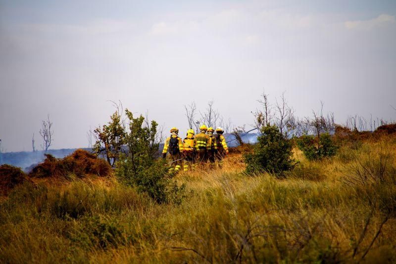 Imágenes del incendio forestal de Grisuela.