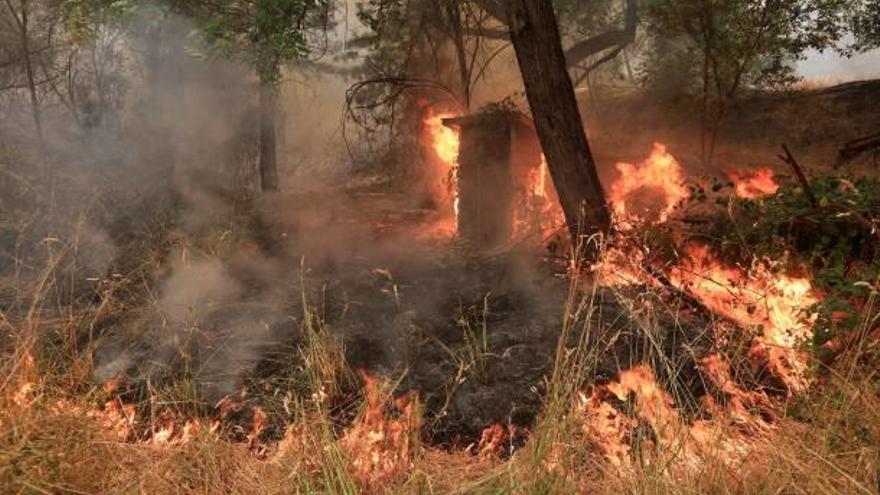 Les flames cremen sense control a Califòrnia