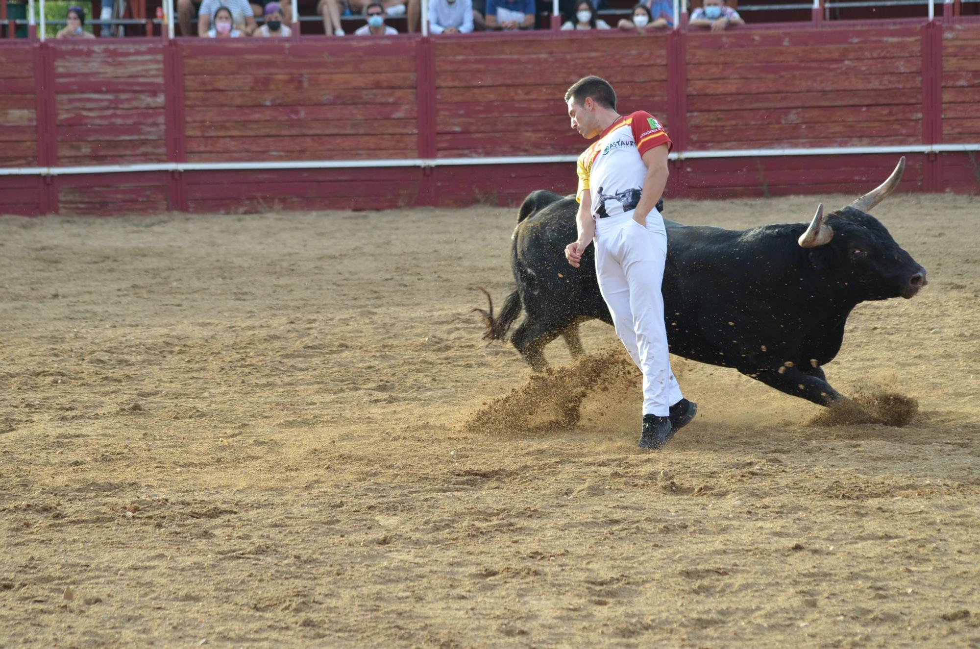 Concurso de cortes, quiebros y saltos en Benavente. / E. P.