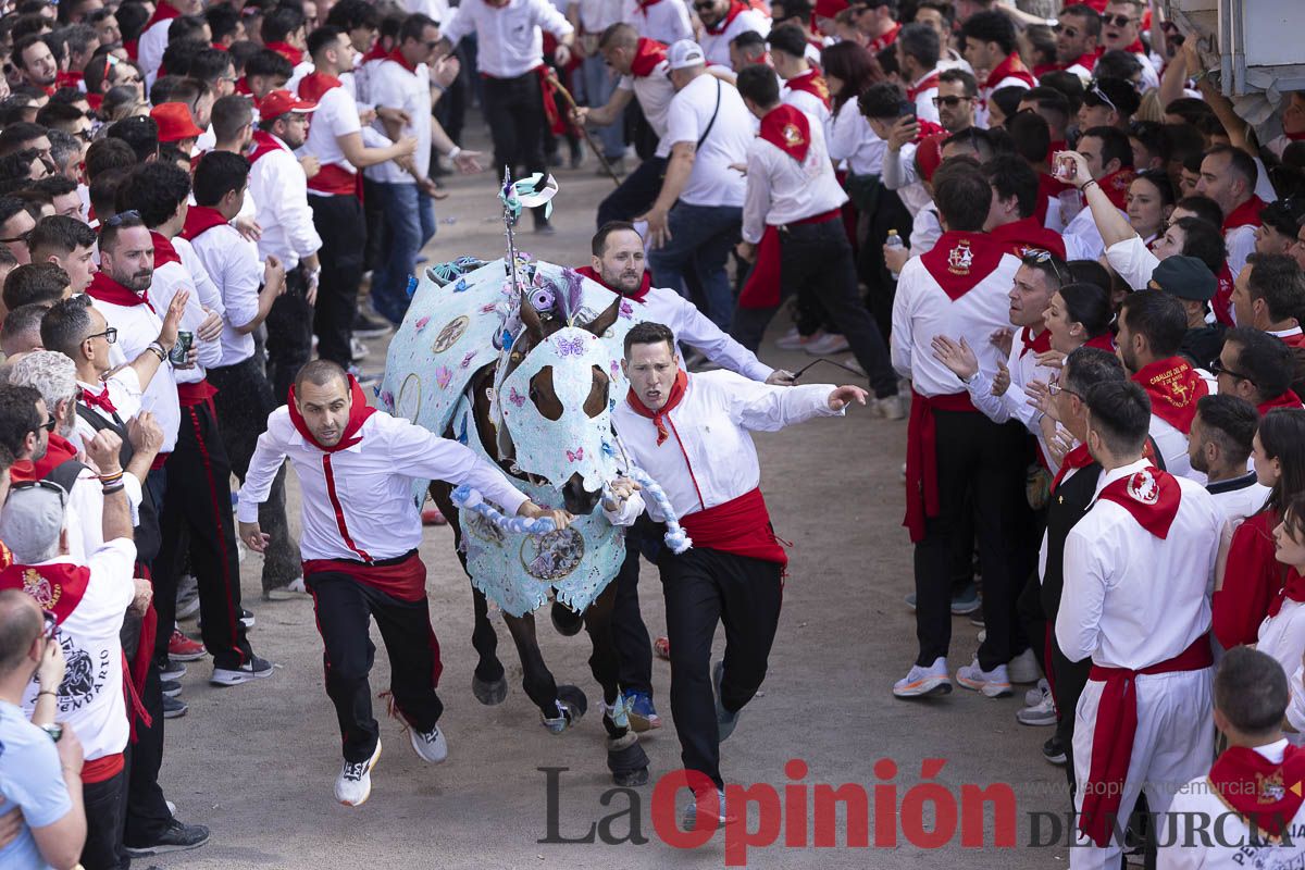 Así se ha vivido la carrera de Los Caballos del Vino en Caravaca