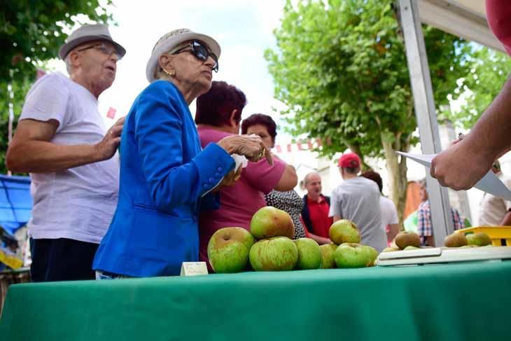 Fiesta de la manzana de Valleseco