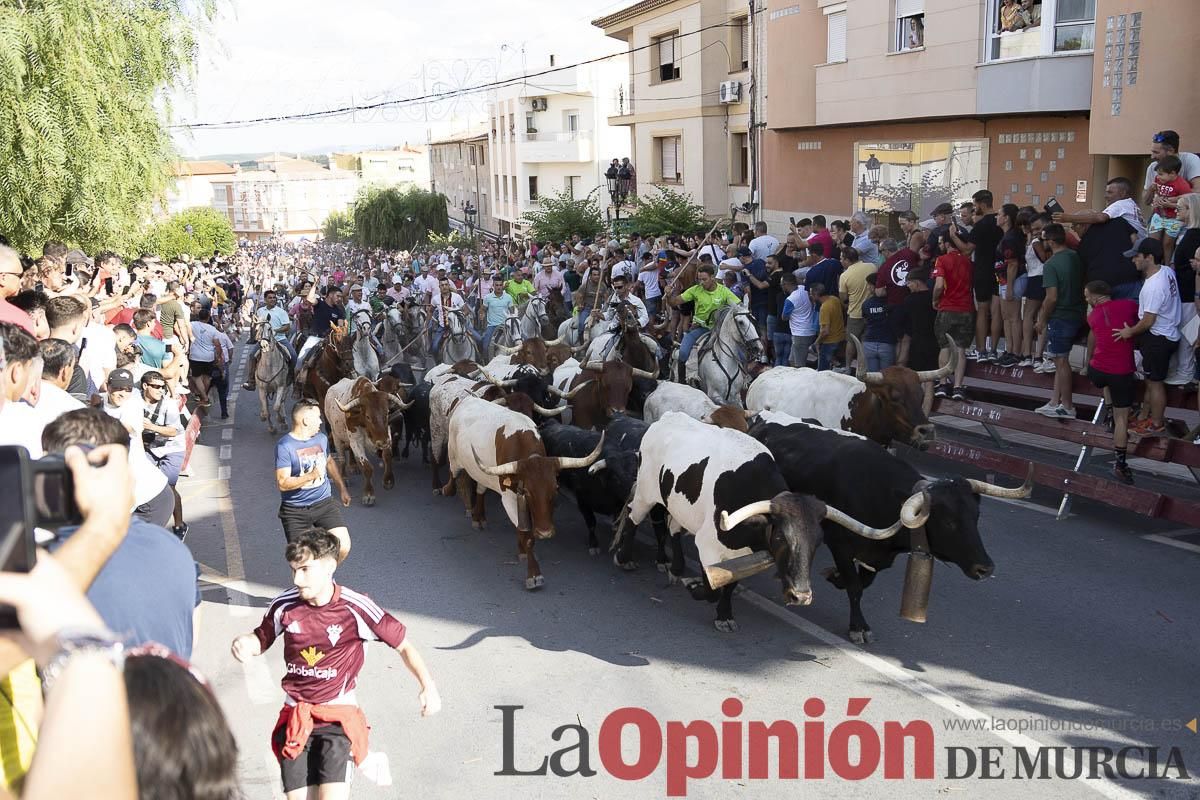 El segundo encierro de las Fiestas de Moratalla se salda con un herido