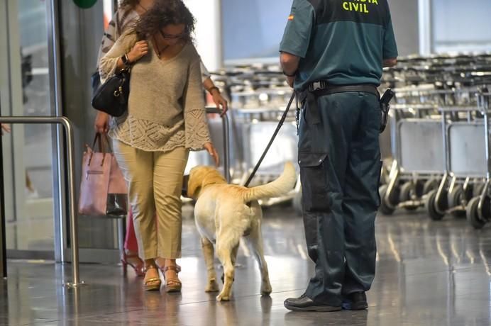 REPORTAJE UNIDAD CANINA AEROPUETO DE GRAN CANARIA