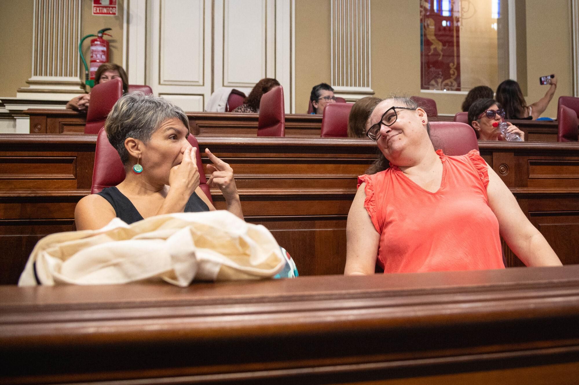 Mujeres con discapacidad en el Parlamento de Canarias