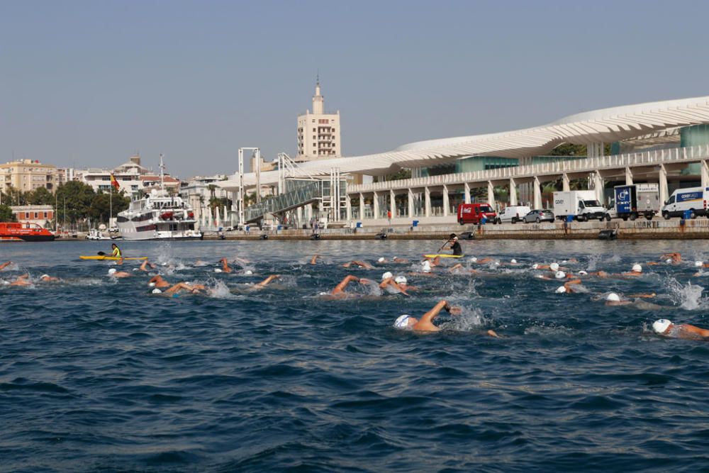 Este domingo se ha celebrado la 60ª edición de la Travesía a Nado del Puerto de Málaga, en la que han participado casi medio millar de nadadores