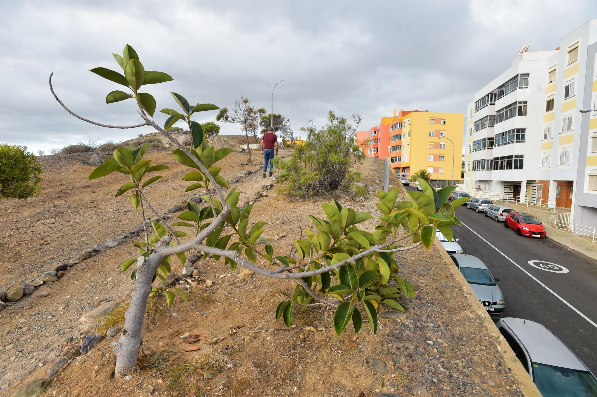 Unos vecinos plantan en un terreno yermo de El Batán