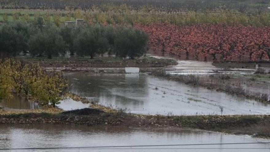 Las organizaciones agrarias alertan de pérdidas de hasta 100 millones