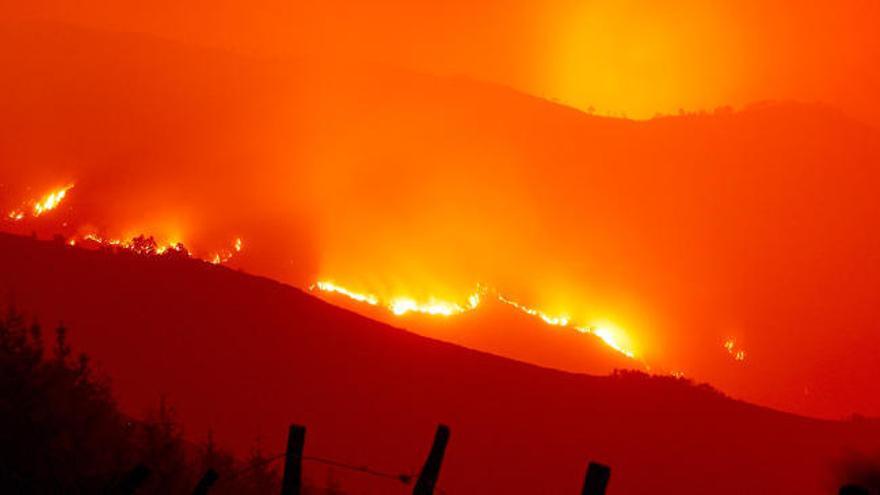 Galicia mantiene 23 incendios activos, ninguno con riesgo para la población