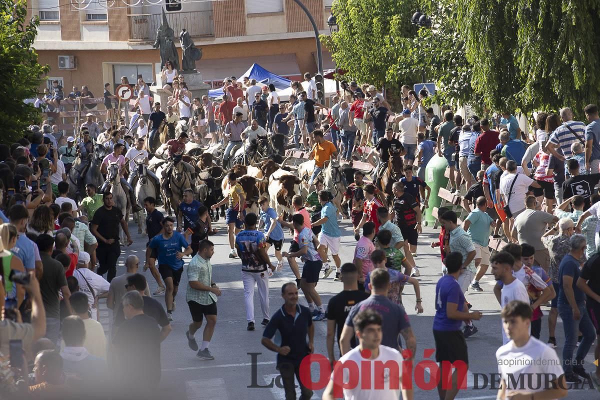 Séptimo encierro de las Fiestas de Moratalla