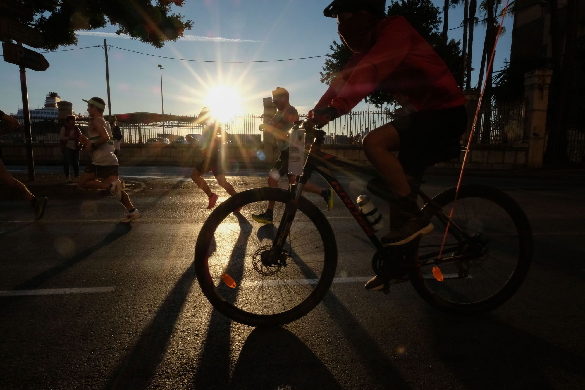 La Maratón de Málaga 2023, en imágenes