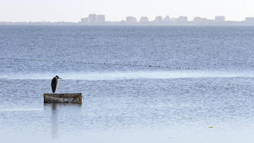 El Mar Menor necesita un año para comenzar a recuperarse