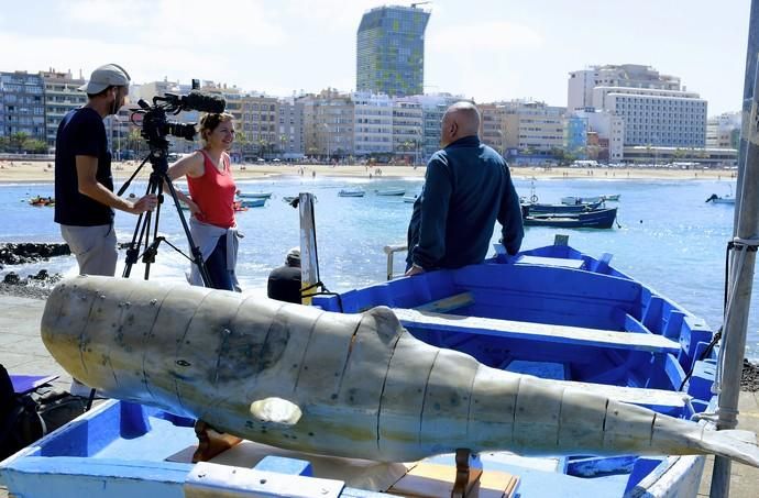El rodaje de 'Moby Dick' y la vida de Saint Saëns atraen al canal ARTE