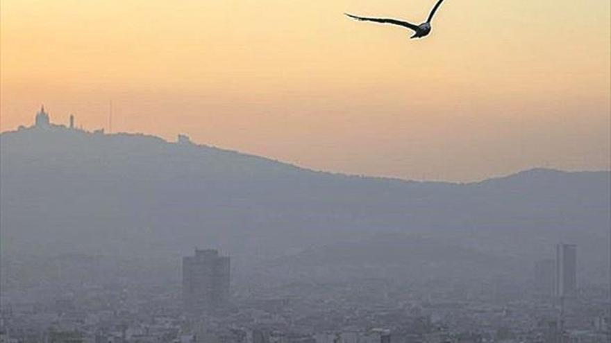 Demuestran que la contaminación del aire afecta a la pérdida de cabello