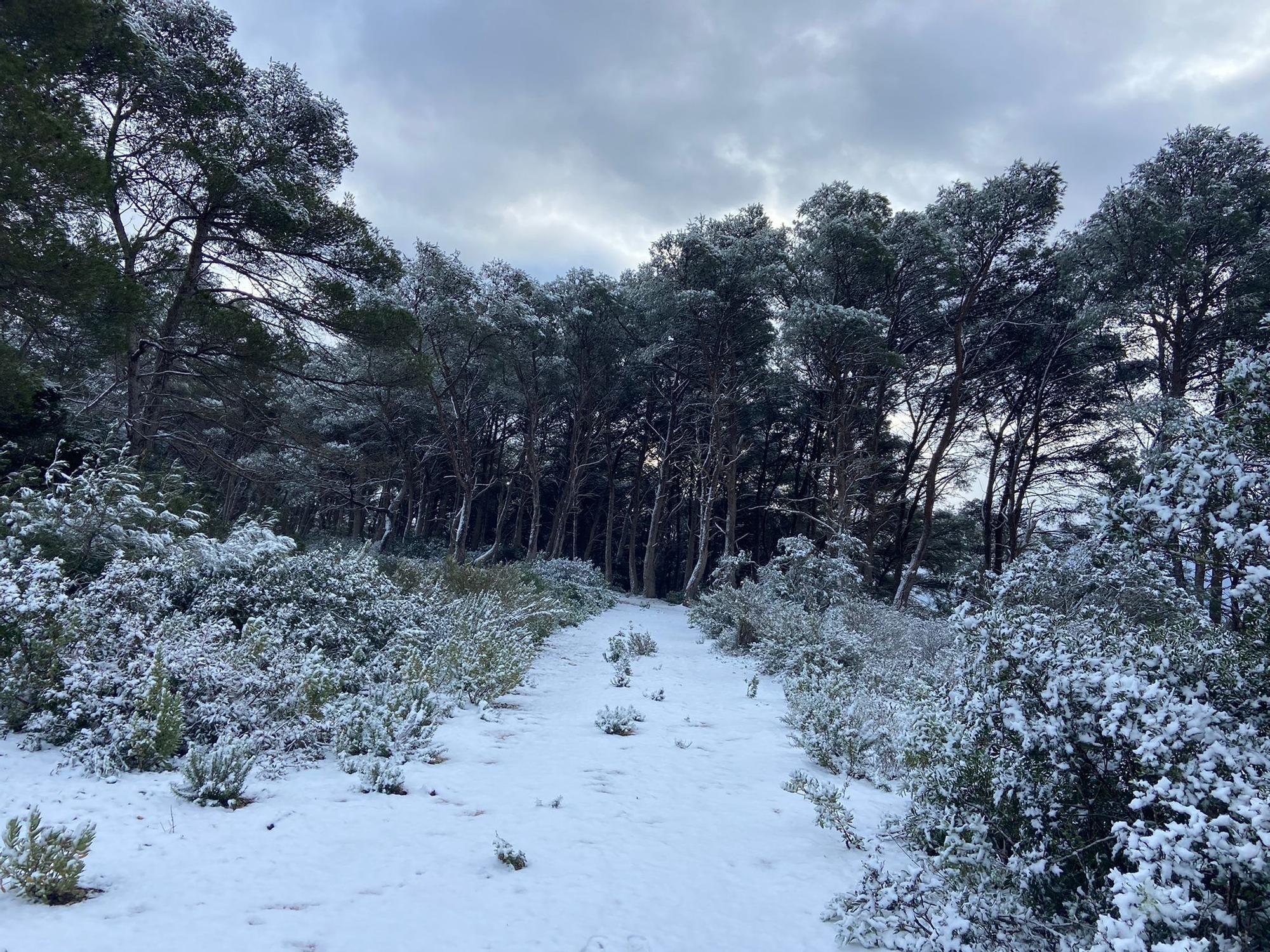 Bajada de temperaturas en Ibiza: Una manta de granizo cubre Siesta