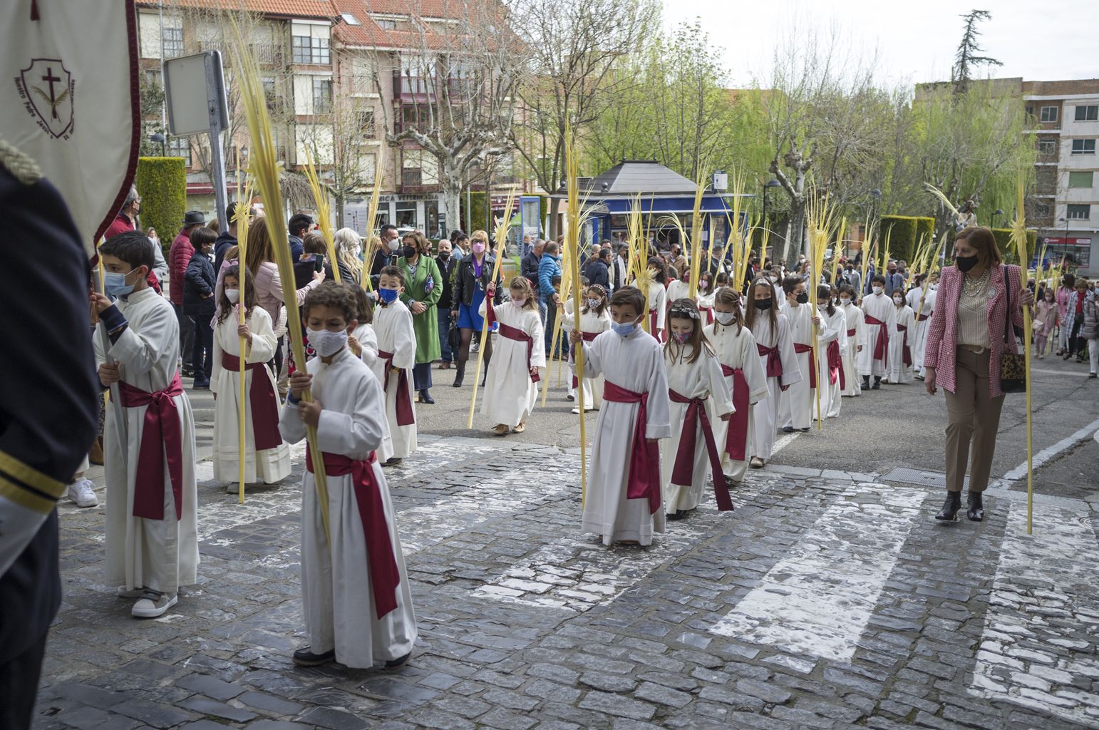La procesión del Domingo de Ramos en Benavente en imágenes