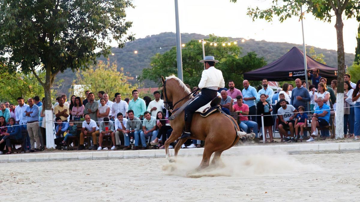 Concurso Nacional de Doma a la Vaquera de Monesterio