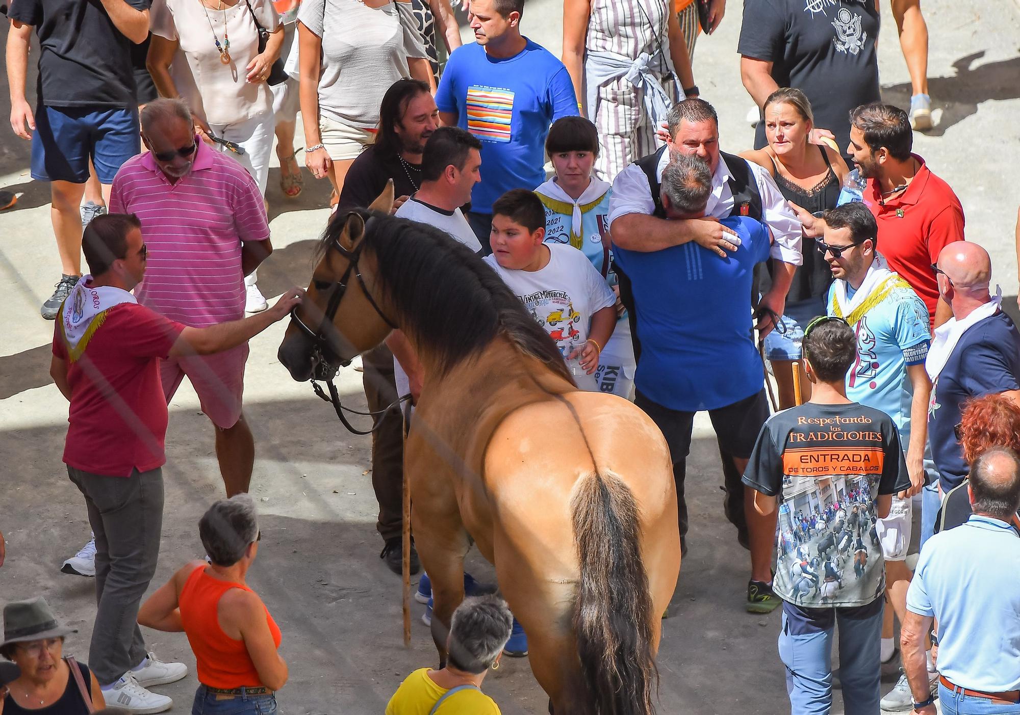 Las mejores fotos de la tercera Entrada de Toros y Caballos de Segorbe