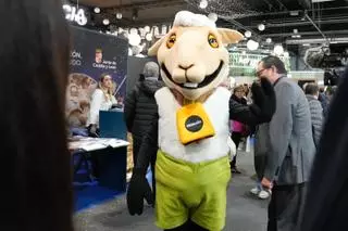 GALERÍA | Zamora se "vende" en Fitur