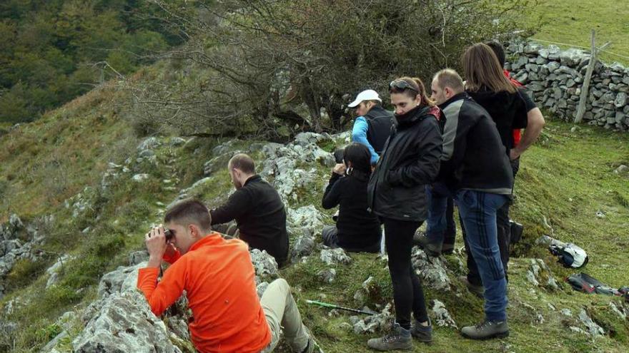 Participantes en la excursión para asistir a la berrea de los venados en Aller.