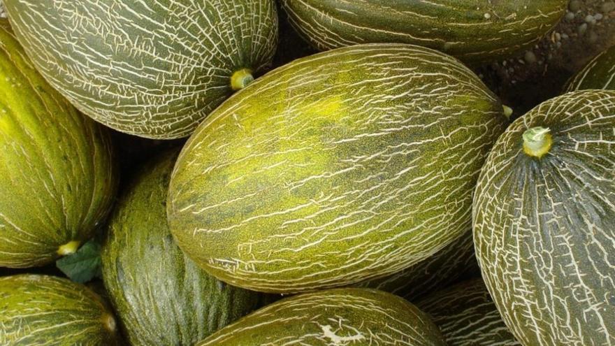 Los trucos para elegir el mejor melón