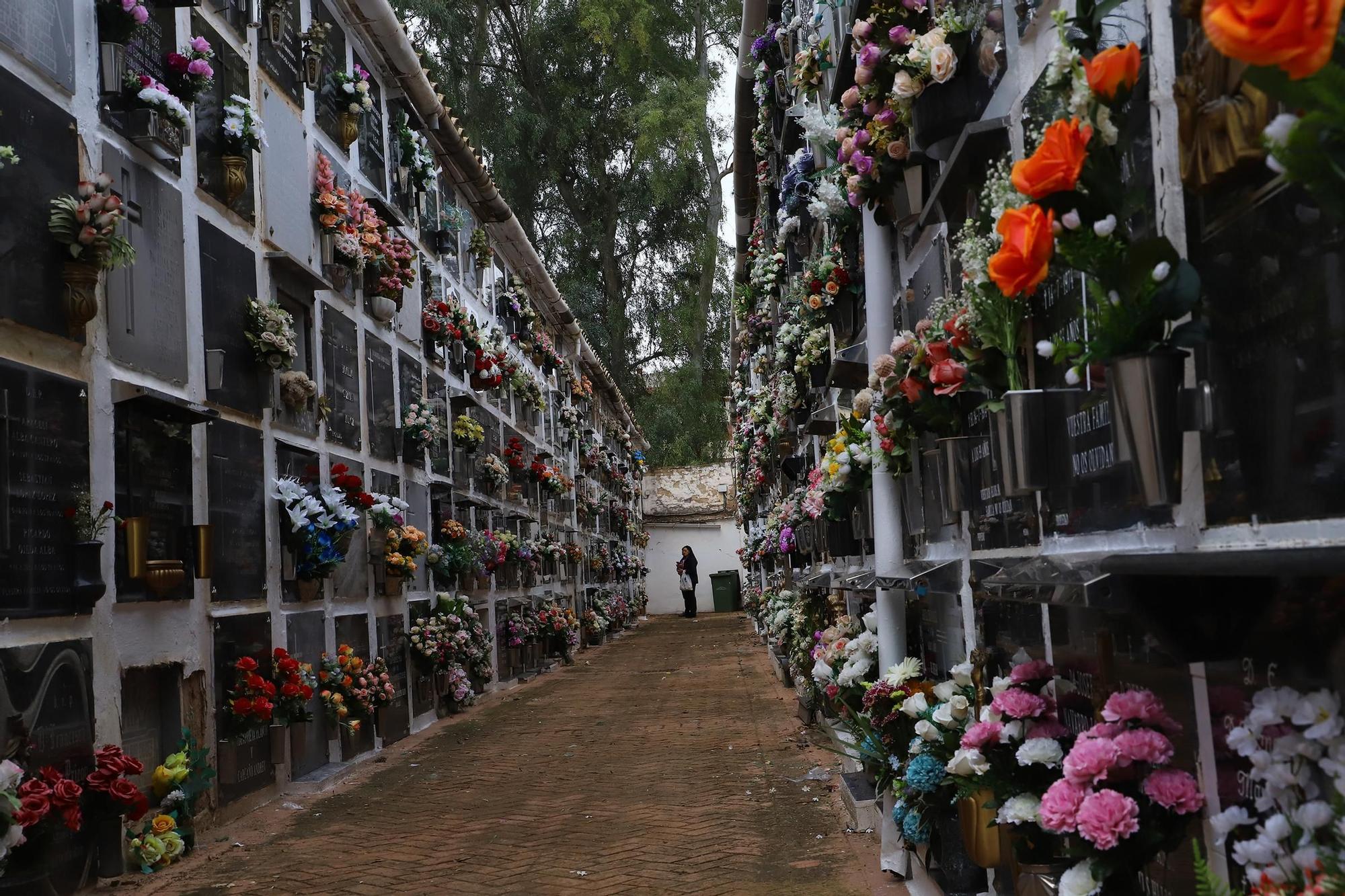 Cementerio de San Rafael