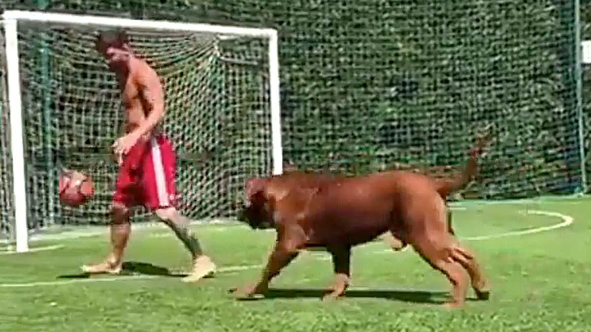 Messi juega con su perro, Hulk.