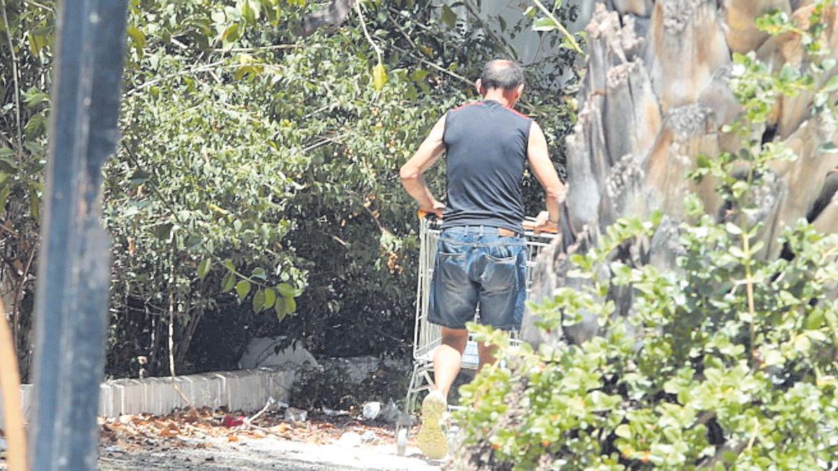 Un hombre deambula dentro del huerto con un carro de supermercado vacío