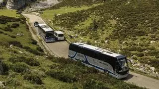 Menos tráfico y zonas obligatorias de cruce, respuesta al accidente de los Lagos: prohibido subir en vehículo particular