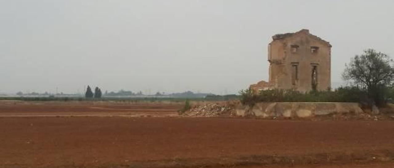 Solo el 30% de los campos de Nou Mil·lenni se cultivan