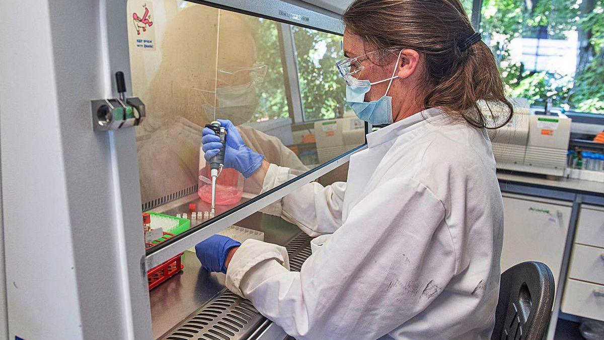 Pruebas de la vacuna en un laboratorio de Oxford.