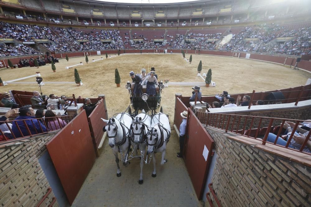 El mundo del caballo contra el cáncer