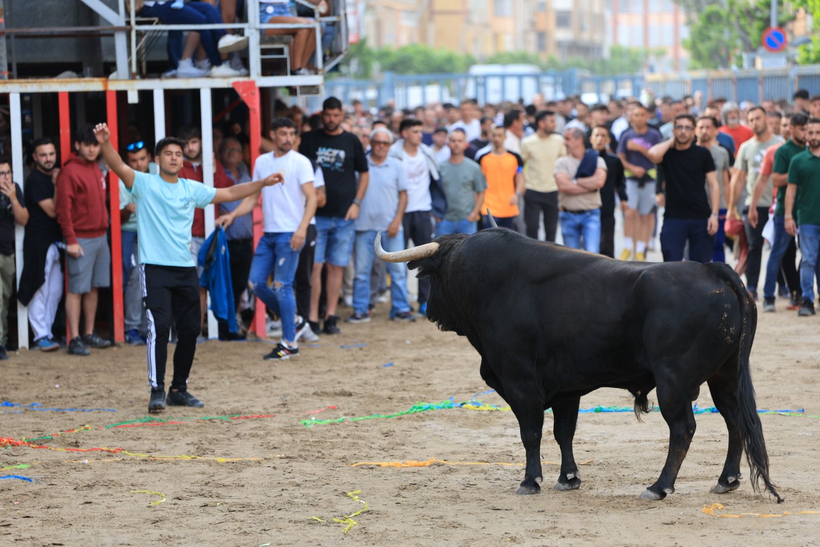 Fotos de la tarde taurina del jueves de las fiestas de Sant Pasqual en Vila-real