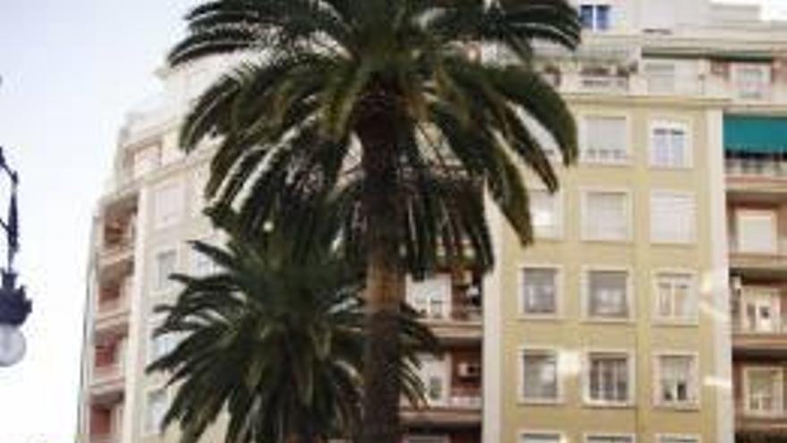 Los residentes en Abastos apadrinan tres palmeras