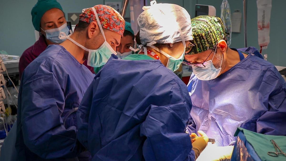 Transplante renal en La Fe