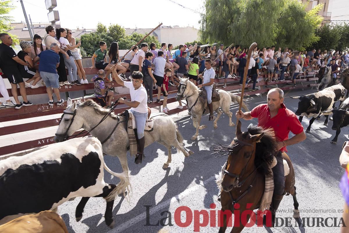 Primer encierro de las Fiestas de Moratalla