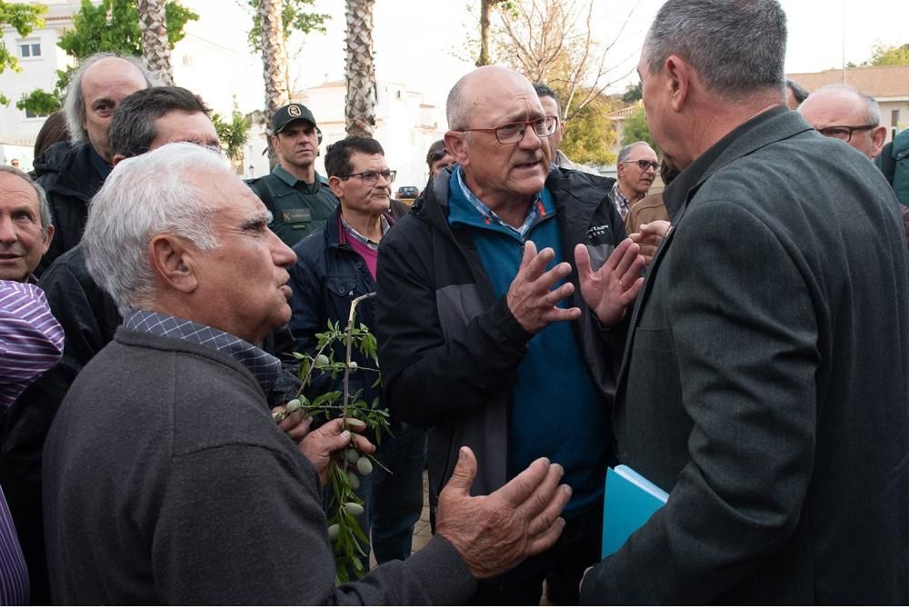 Manifestación por la Xylella en Altea