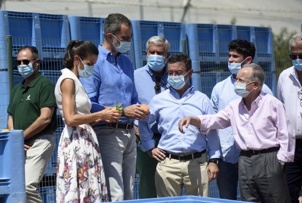 Visita de los reyes a la cooperativa La Carrichosa de Cieza