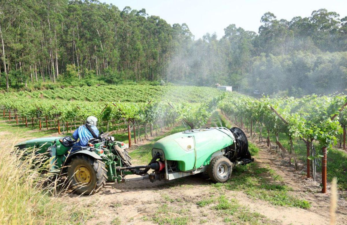 Aplicación de tratamientos con tractor. | Noé Parga