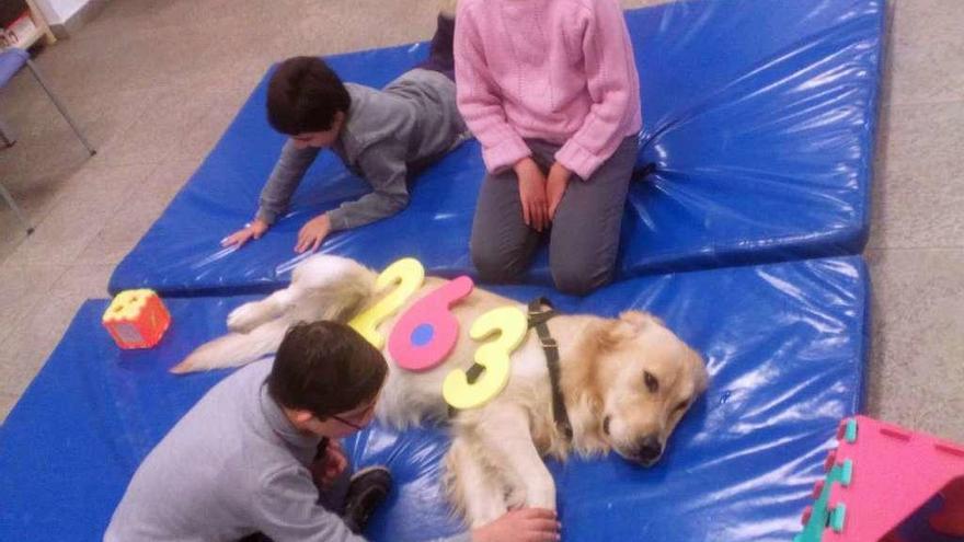 Tres niños con uno de los perros en una de las sesiones de relajación de canoterapia.