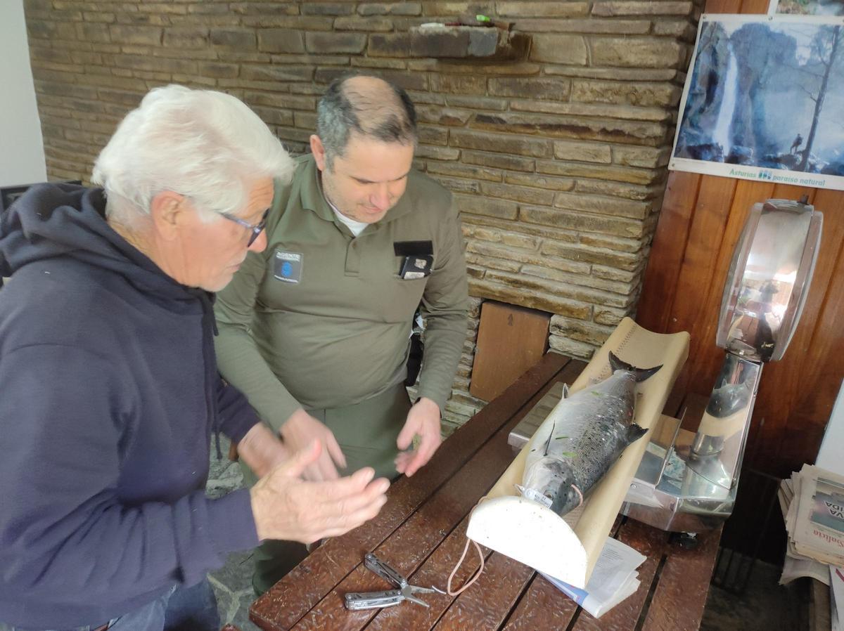 José González y Victorino García durante el pesaje del animal.