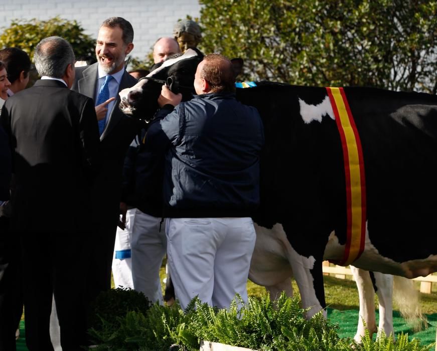 El Rey participa en el 50.º aniversario de Clas