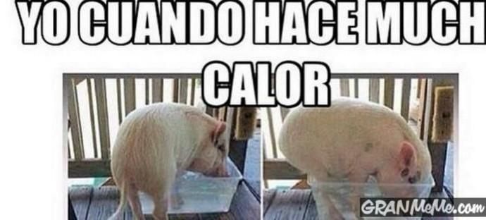 Los memes del calor atacan de nuevo