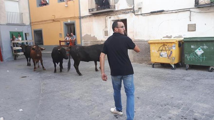 Bardallur despide unos actos festivos bañados de diversión y participación