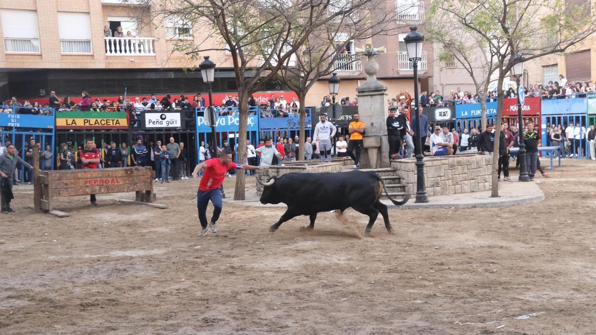 La plaza San Roque ha disfrutado de los actos taurinos de este sábado en l'Alcora.