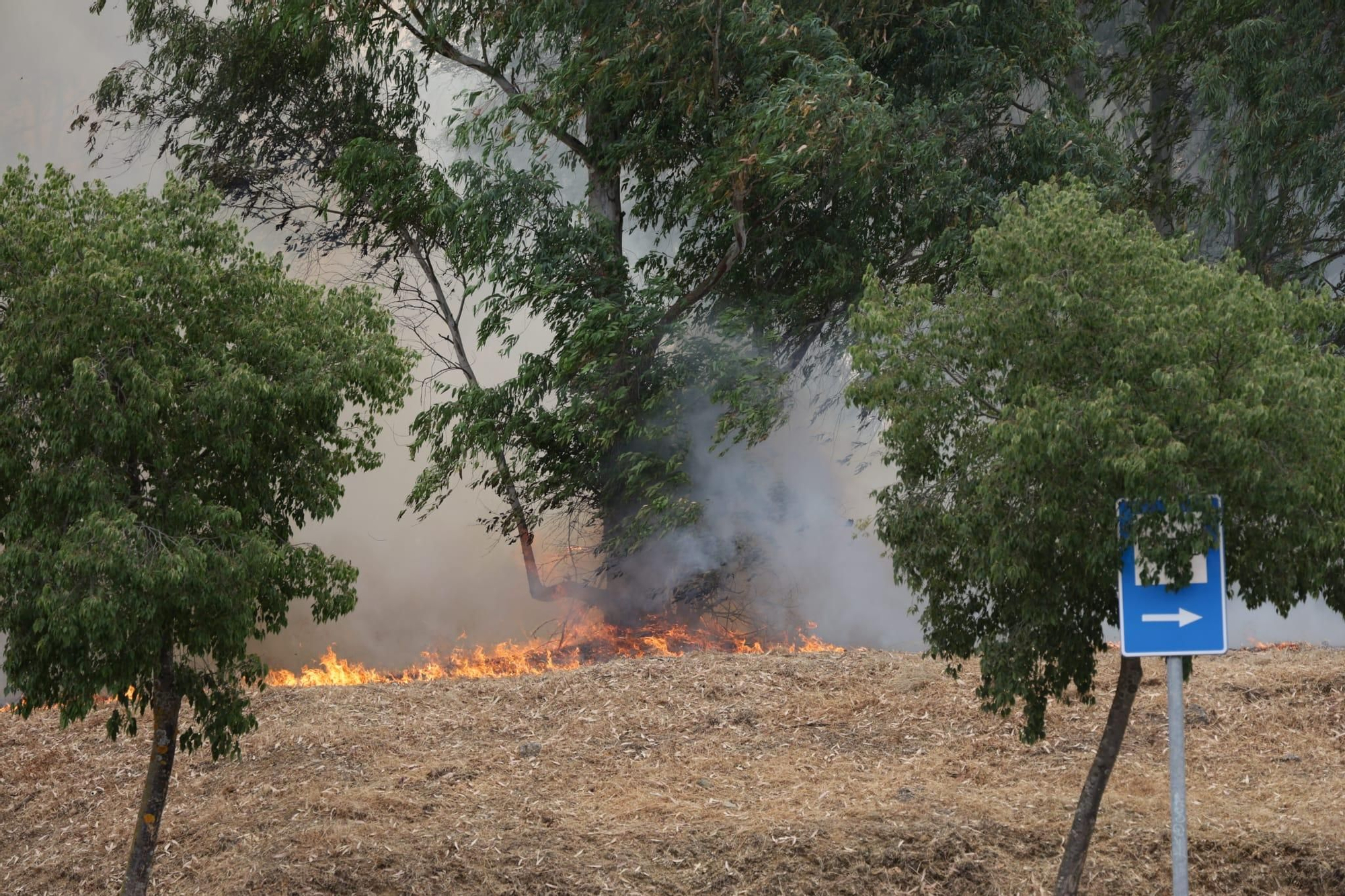 Incendio de pastos en unas pistas de fútbol de La Mejostilla