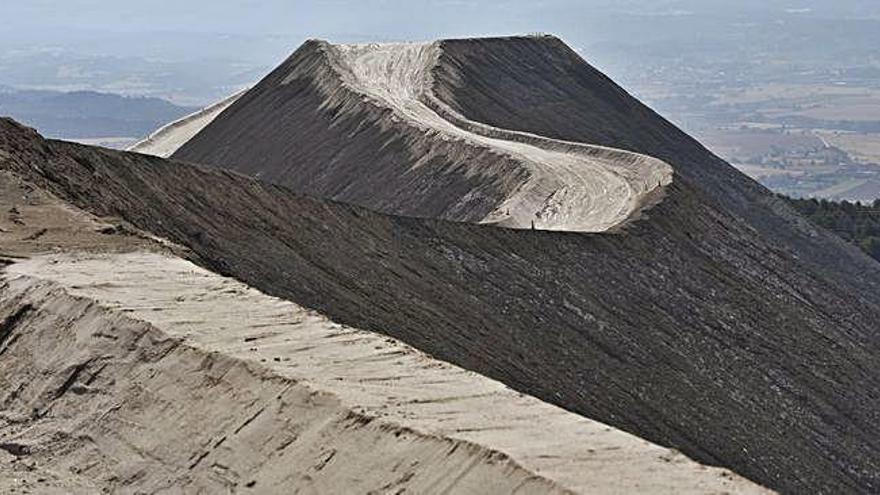 El runam del Cogulló de Sallent està format per uns 48 milions de tones de sal