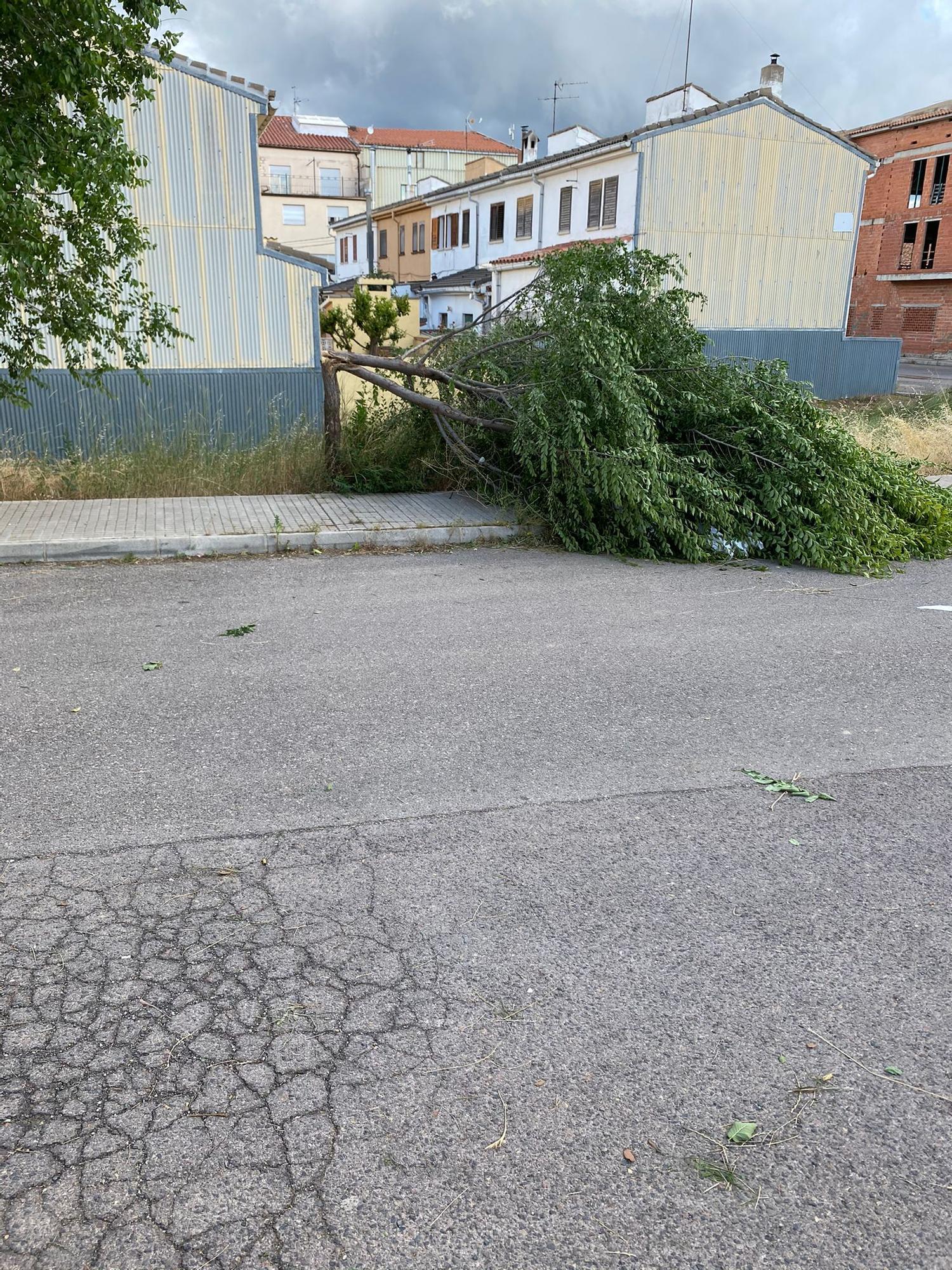 Las mejores imágenes del tornado histórico que ha sorprendido a Vilafranca