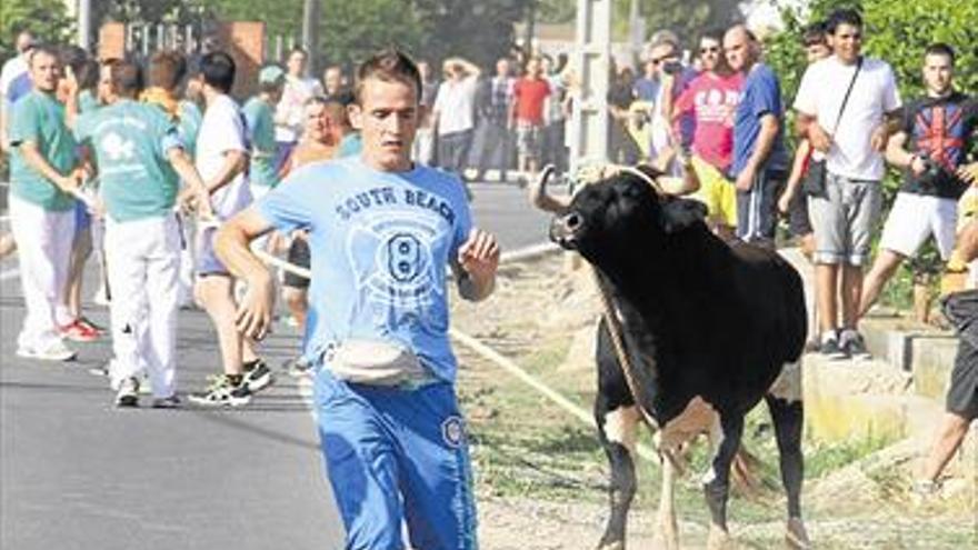 Las calles de Santa Bárbara de Burriana se  llenan de aficionados al tradicional ‘bou en corda’