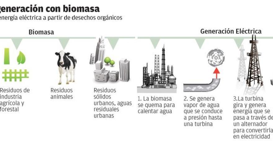 Las plantas de biomasa de Ence reducen el coste de la energía eléctrica de las Islas